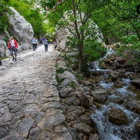 Pisak - Mobile Homes By The Sea Parco vacanze Seline